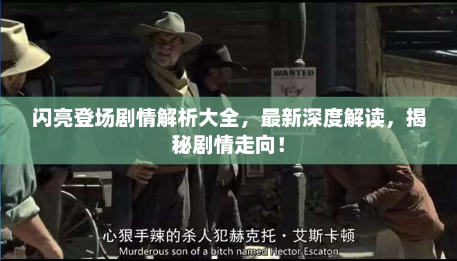 闪亮登场剧情解析大全，最新深度解读，揭秘剧情走向！