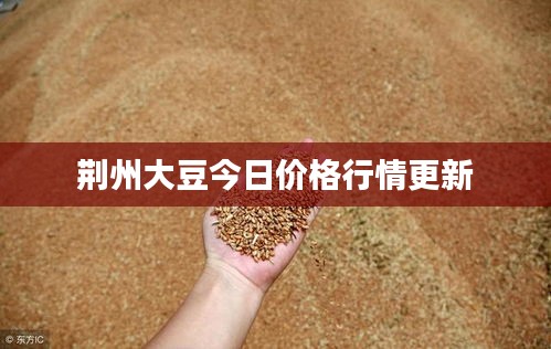 荆州大豆今日价格行情更新