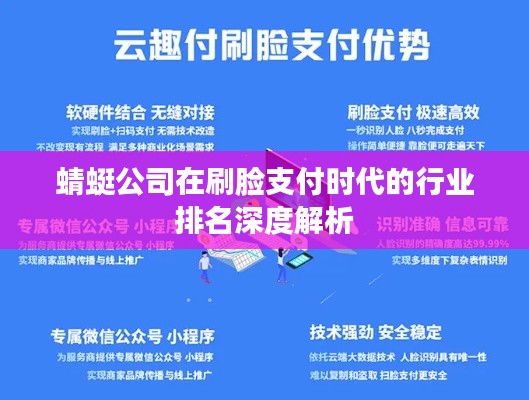 蜻蜓公司在刷脸支付时代的行业排名深度解析