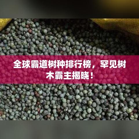 全球霸道树种排行榜，罕见树木霸主揭晓！