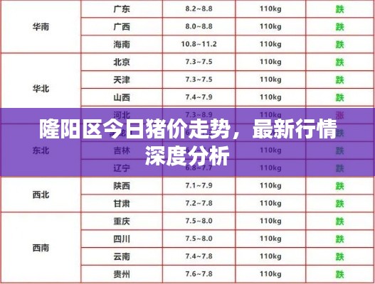 隆阳区今日猪价走势，最新行情深度分析