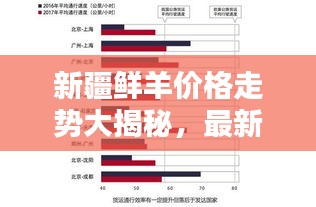 新疆鲜羊价格走势大揭秘，最新行情分析报告