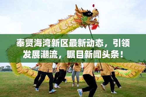 奉贤海湾新区最新动态，引领发展潮流，瞩目新闻头条！