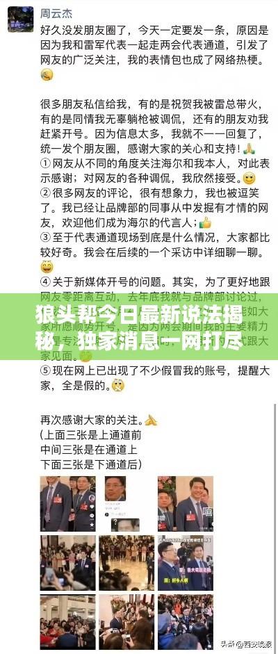 狼头帮今日最新说法揭秘，独家消息一网打尽！