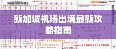 新加坡机场出境最新攻略指南