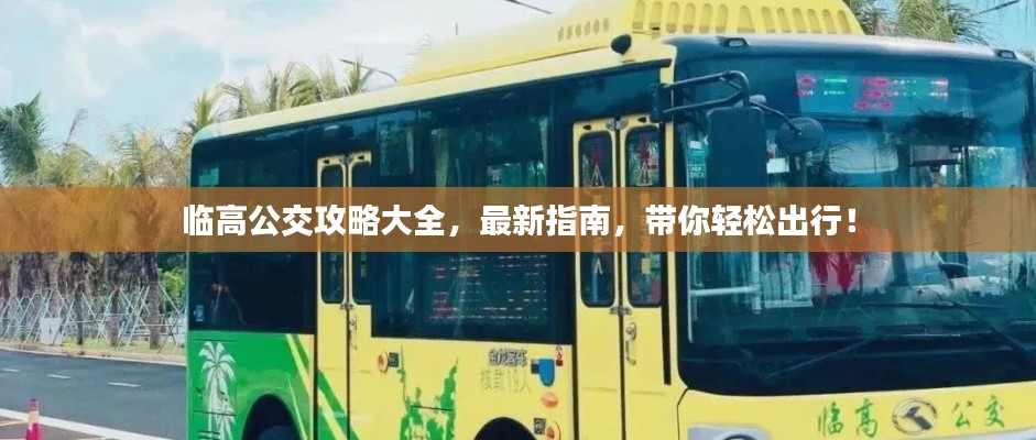 临高公交攻略大全，最新指南，带你轻松出行！