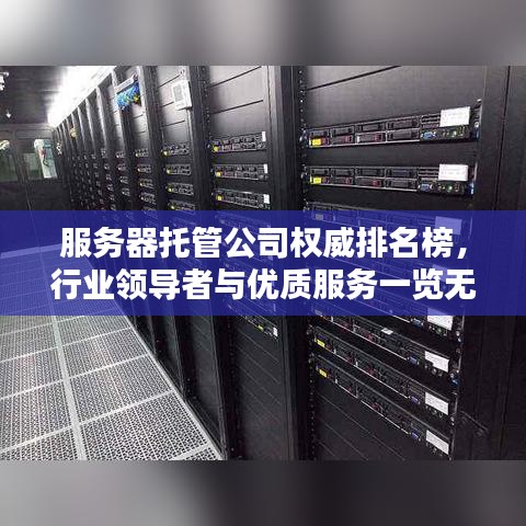 服务器托管公司权威排名榜，行业领导者与优质服务一览无余