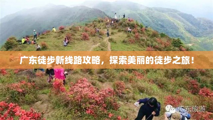 广东徒步新线路攻略，探索美丽的徒步之旅！