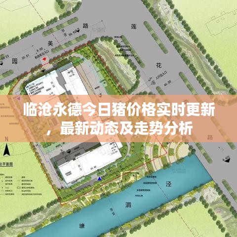 临沧永德今日猪价格实时更新，最新动态及走势分析