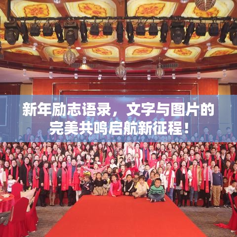 新年励志语录，文字与图片的完美共鸣启航新征程！