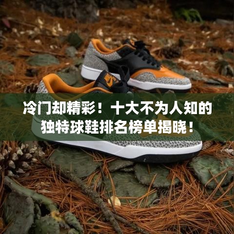 冷门却精彩！十大不为人知的独特球鞋排名榜单揭晓！