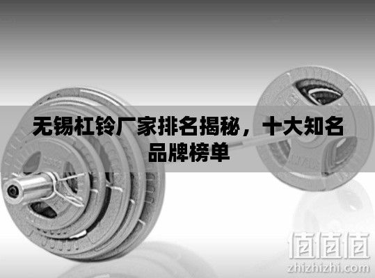 无锡杠铃厂家排名揭秘，十大知名品牌榜单