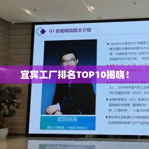 宜宾工厂排名TOP10揭晓！