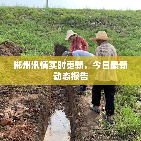 郴州汛情实时更新，今日最新动态报告