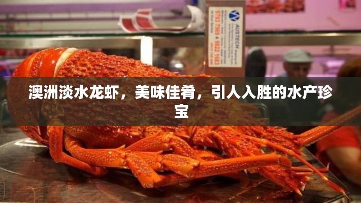 澳洲淡水龙虾，美味佳肴，引人入胜的水产珍宝
