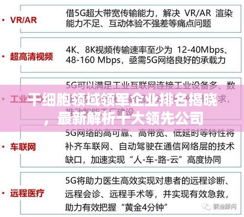 干细胞领域领军企业排名揭晓，最新解析十大领先公司