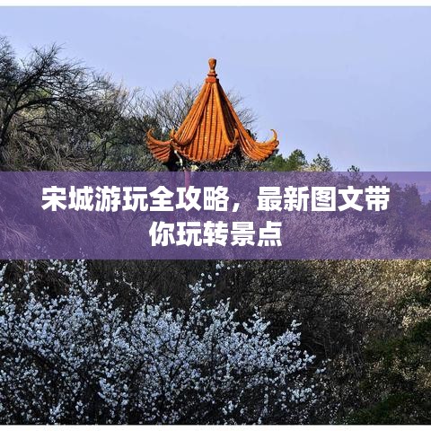宋城游玩全攻略，最新图文带你玩转景点