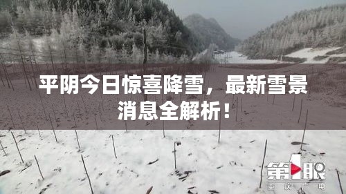 平阴今日惊喜降雪，最新雪景消息全解析！