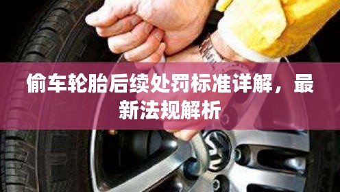 偷车轮胎后续处罚标准详解，最新法规解析