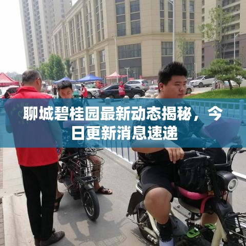聊城碧桂园最新动态揭秘，今日更新消息速递