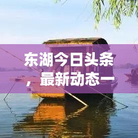 东湖今日头条，最新动态一网打尽