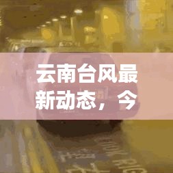 云南台风最新动态，今日天气状况及影响分析