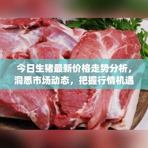 今日生猪最新价格走势分析，洞悉市场动态，把握行情机遇