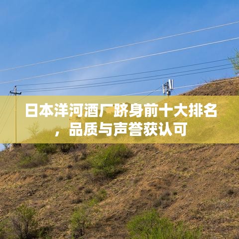 日本洋河酒厂跻身前十大排名，品质与声誉获认可