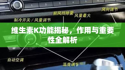 维生素K功能揭秘，作用与重要性全解析