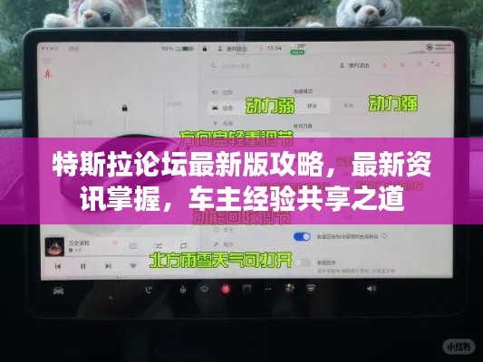 特斯拉论坛最新版攻略，最新资讯掌握，车主经验共享之道