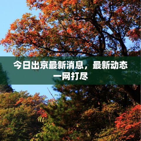 今日出京最新消息，最新动态一网打尽