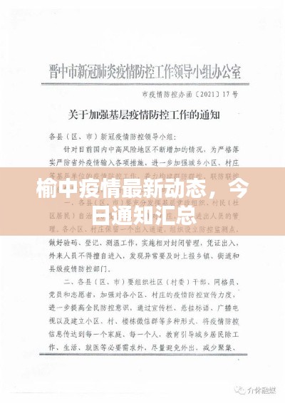 榆中疫情最新动态，今日通知汇总