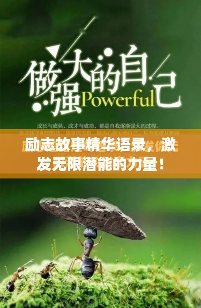励志故事精华语录，激发无限潜能的力量！