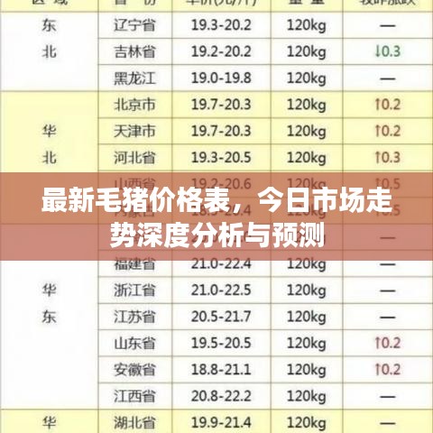最新毛猪价格表，今日市场走势深度分析与预测