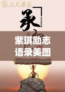 紫琪励志语录美图，追寻梦想的勇气与力量，激发无限潜能！