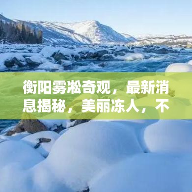 衡阳雾凇奇观，最新消息揭秘，美丽冻人，不容错过！