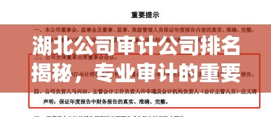 湖北公司审计公司排名揭秘，专业审计的重要性与优质机构推荐