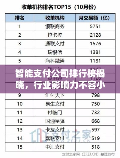 智能支付公司排行榜揭晓，行业影响力不容小觑
