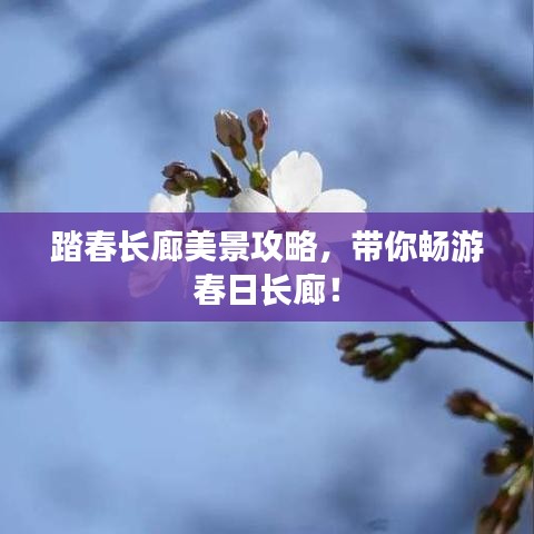 常见问题 第19页