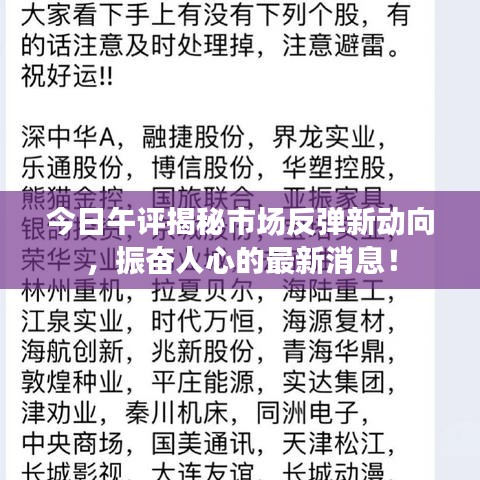 今日午评揭秘市场反弹新动向，振奋人心的最新消息！