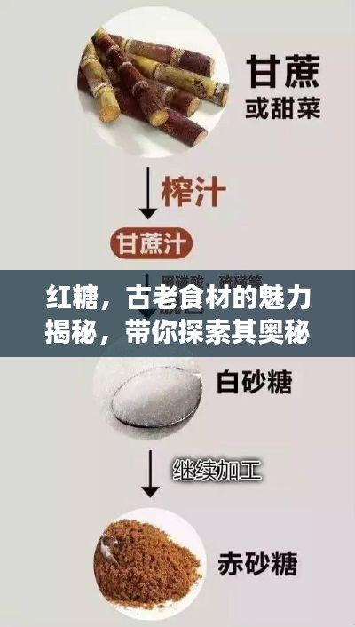 红糖，古老食材的魅力揭秘，带你探索其奥秘，百度收录标准标题