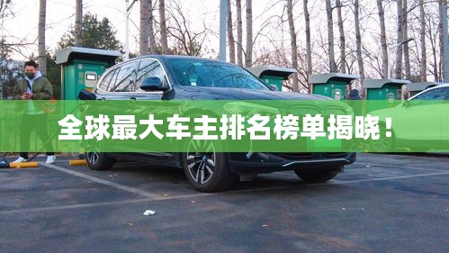 全球最大车主排名榜单揭晓！