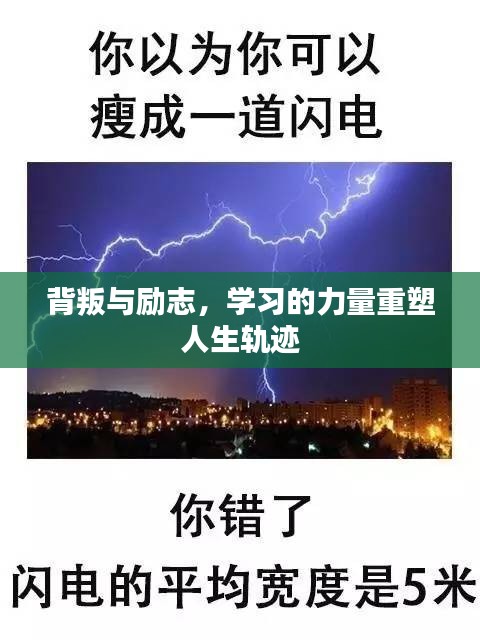 背叛与励志，学习的力量重塑人生轨迹