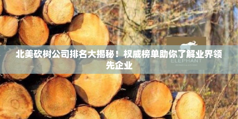 北美砍树公司排名大揭秘！权威榜单助你了解业界领先企业