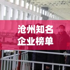 沧州知名企业榜单揭晓，十大公司排名榜单震撼来袭！