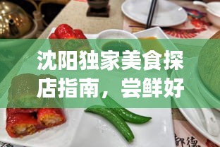沈阳独家美食探店指南，尝鲜好去处！