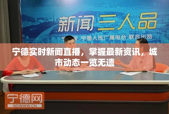 宁德实时新闻直播，掌握最新资讯，城市动态一览无遗