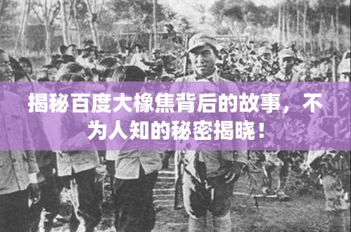 揭秘百度大橡焦背后的故事，不为人知的秘密揭晓！
