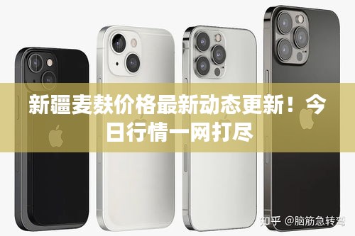 鹤立鸡群