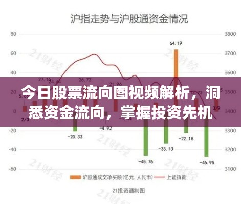 今日股票流向图视频解析，洞悉资金流向，掌握投资先机